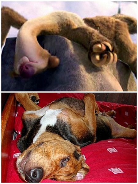 Sid.jpg