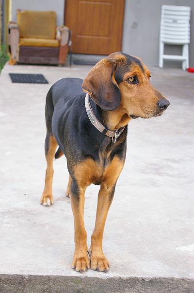 IMGP1717.JPG