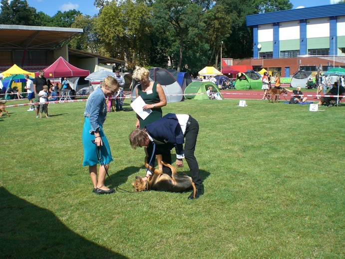 Białystok3.jpg