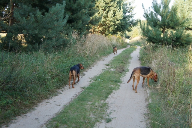 DSC06925 (640x425).jpg