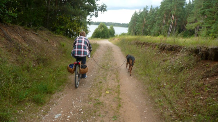 Patrol pieszy, granica z prawej, i tak codziennie odcinek 10 km.