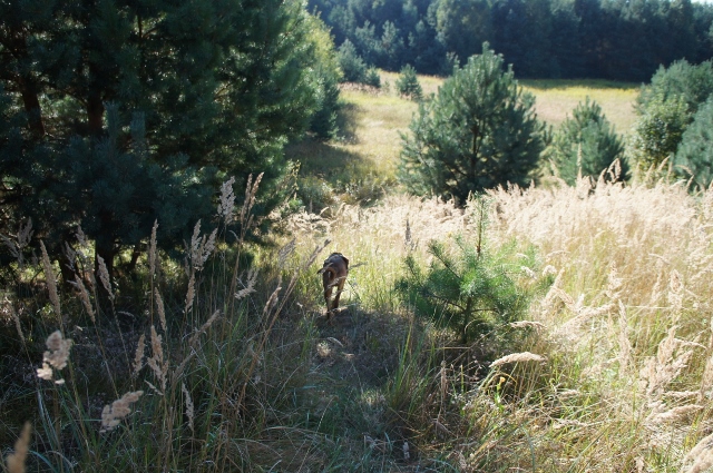 DSC06969 (640x425).jpg