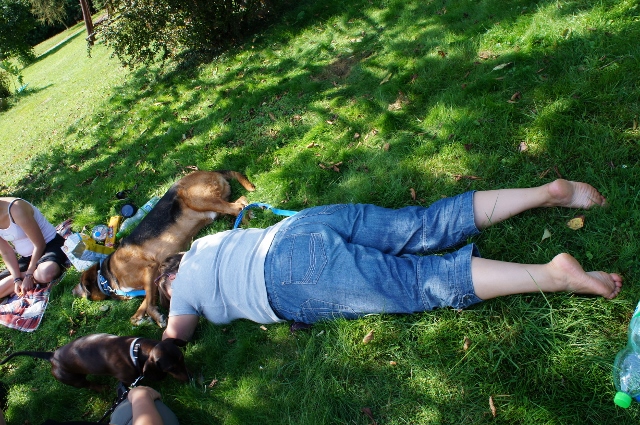 DSC07012 (640x425).jpg