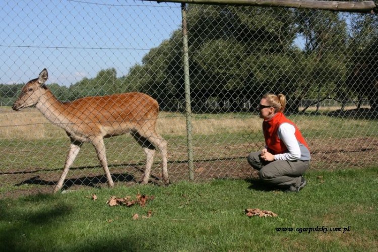 Miejscowe zoo budziło zachwyt.