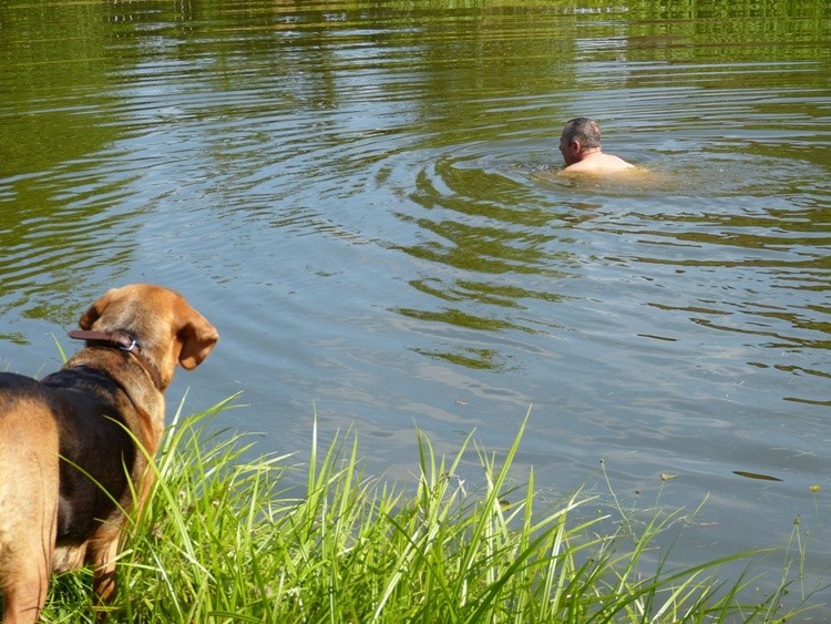 no utopi się jak nic...