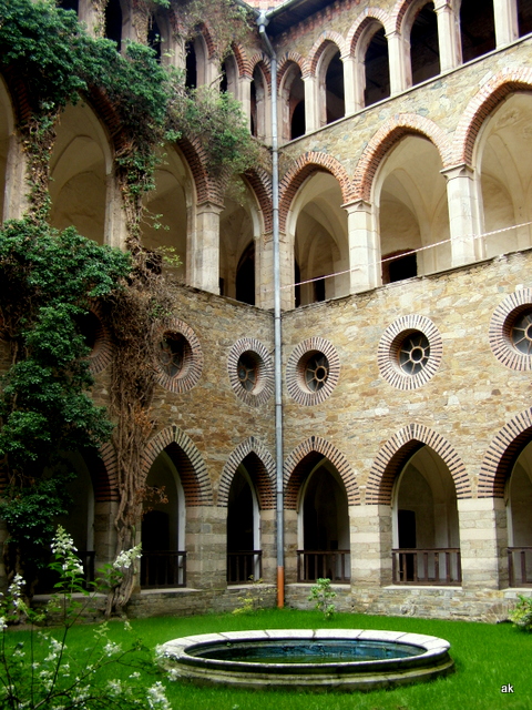 P8190025.JPG