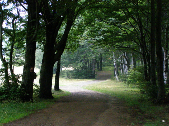 P8200074.JPG