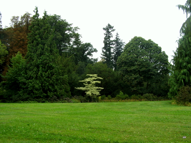 P8210111.JPG