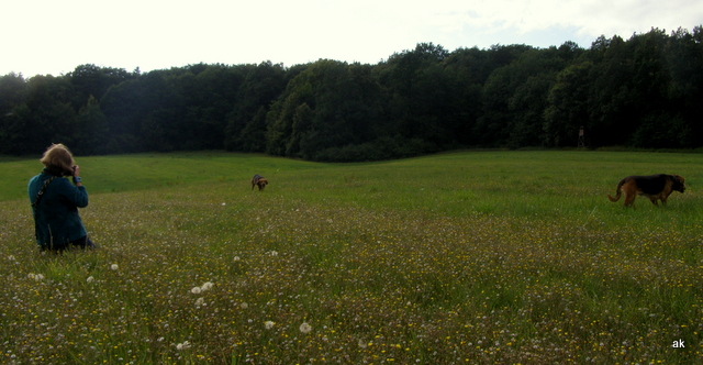 P8210146.JPG