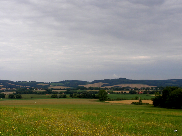 P8210155.JPG