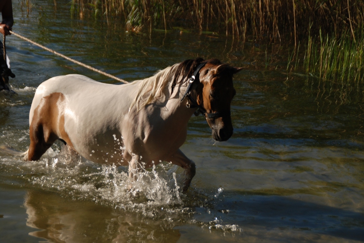 DSC_0035.JPG