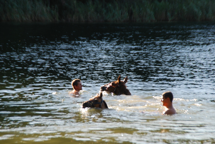 DSC_0016.JPG