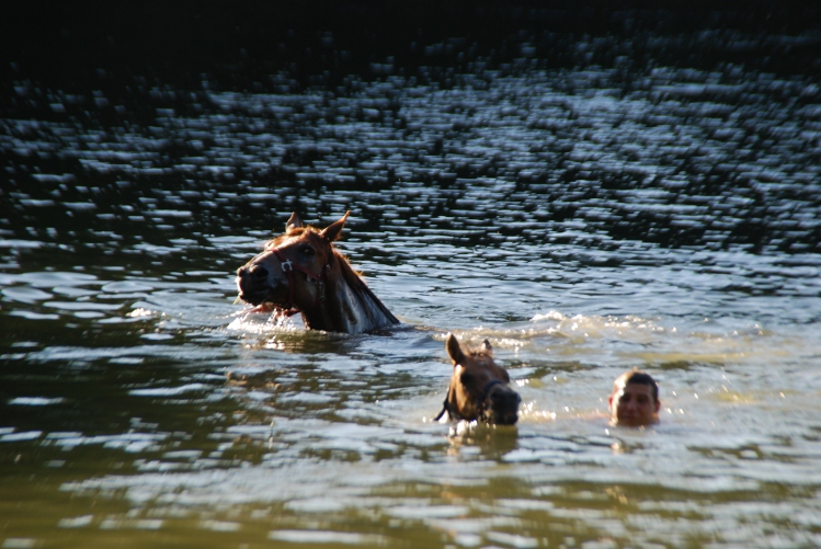 DSC_0017.JPG