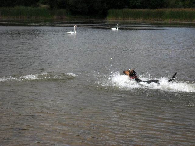 SAM_3867.JPG