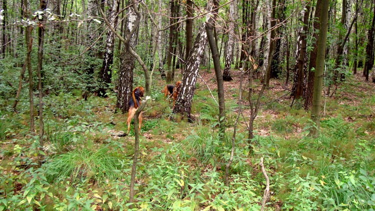 DSC02717.JPG