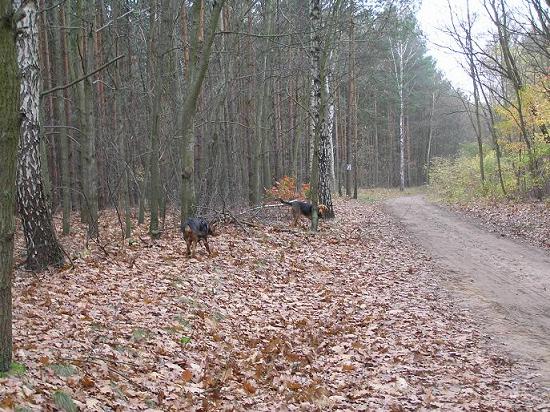 Oraz bawiliśmy się w chowanego ;)