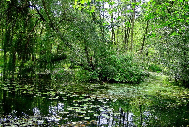DSC02763.JPG