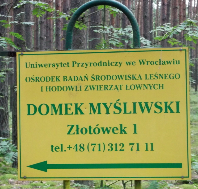 tu byliśmy
