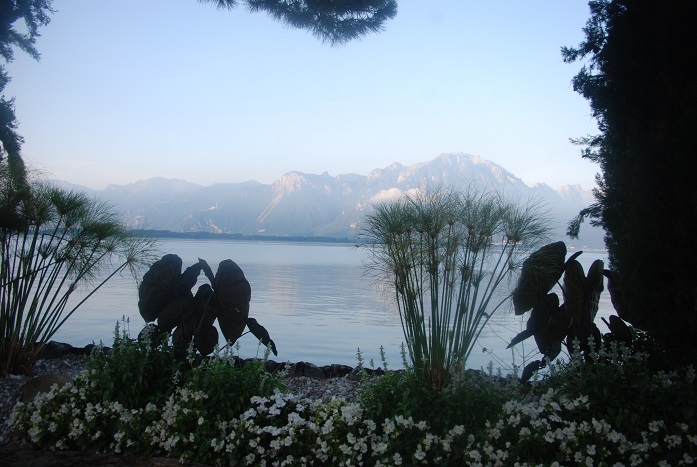 DSC_0019.JPG