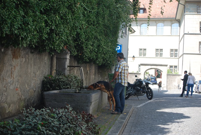 DSC_0209.JPG