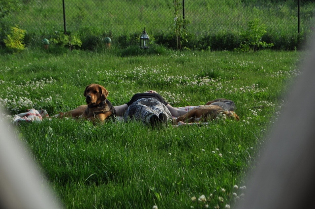 DSC_0289 (640x425).jpg