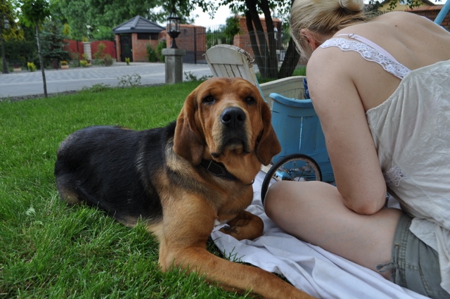 DSC_0356 (640x425).jpg