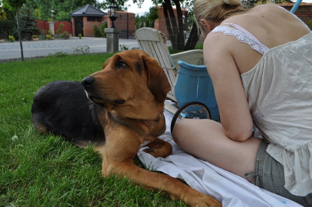 DSC_0357 (640x425).jpg