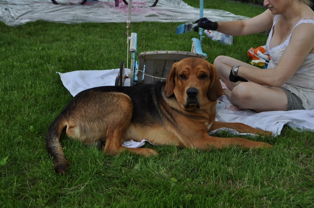 DSC_0367 (640x425).jpg