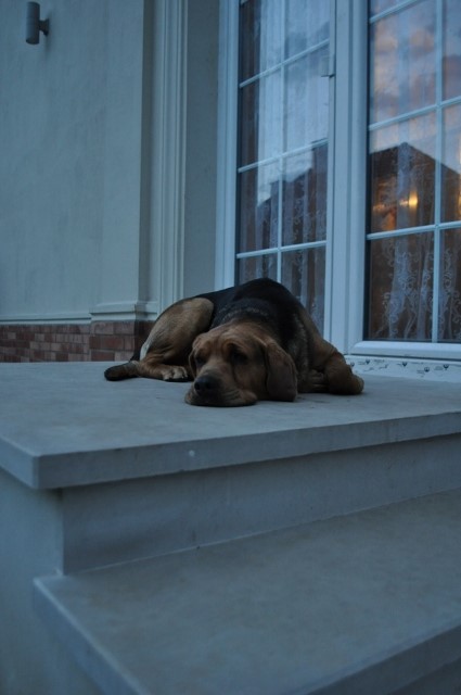 DSC_0199 (640x425).jpg
