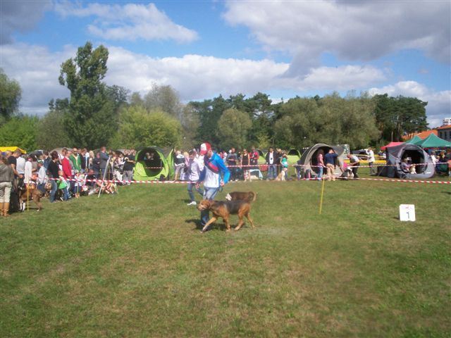 100_1706.JPG