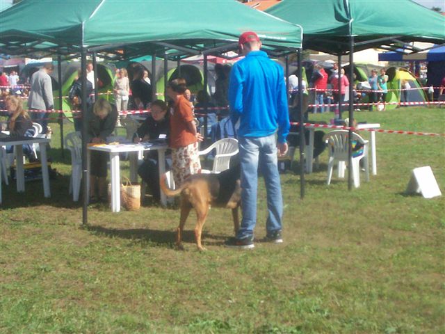 100_1710.JPG