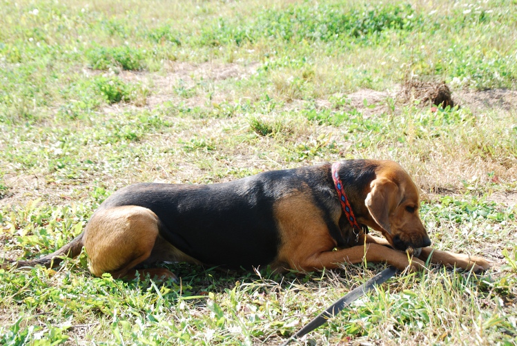 DSC_0012.JPG