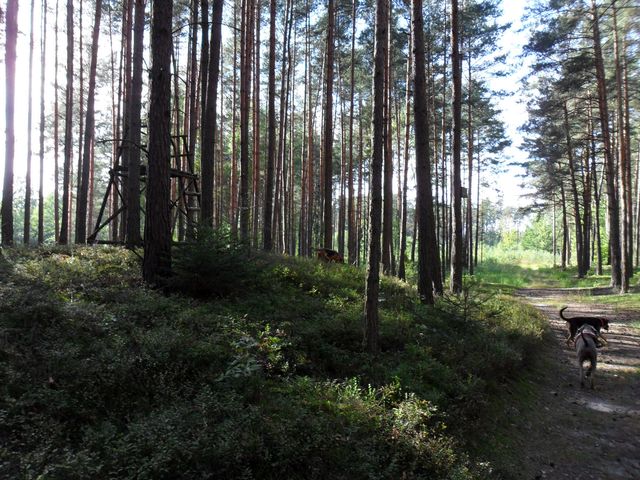 SAM_4094.JPG