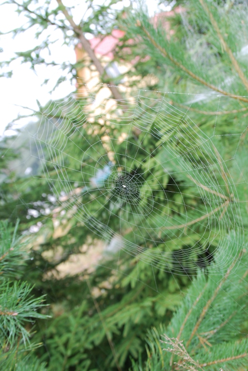 DSC_0018.JPG