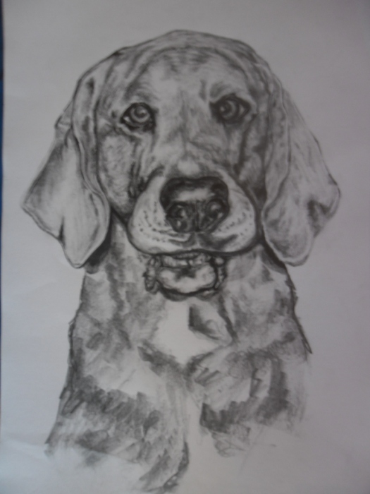 Portret.jpg