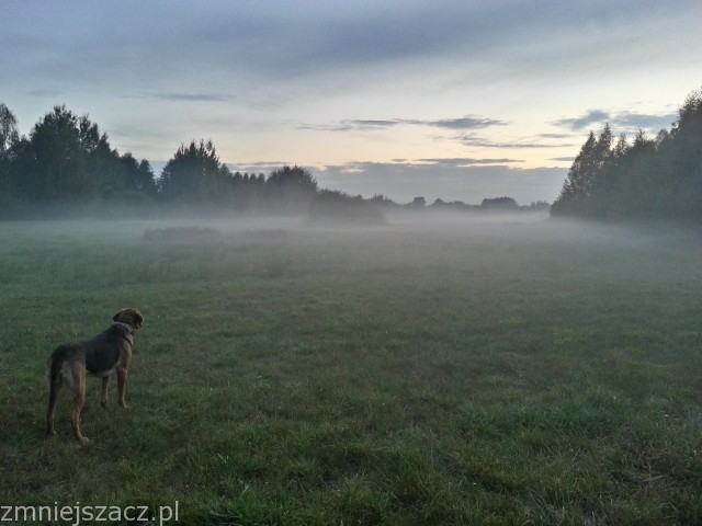 20130918_190120_HDR_zmniejszacz-pl_736672.jpg