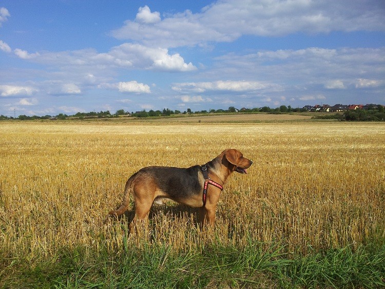 20130815_160728.jpg