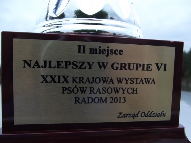 DSCF4372.JPG