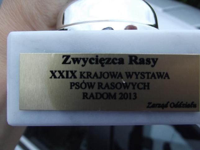 DSCF4374.JPG