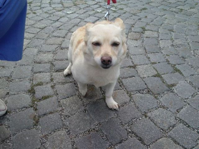 mała3.jpg