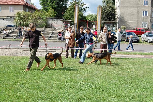 Suki, Klasa pośrednia
