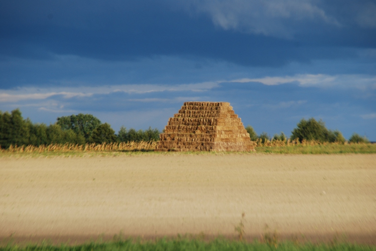 DSC_0009.JPG