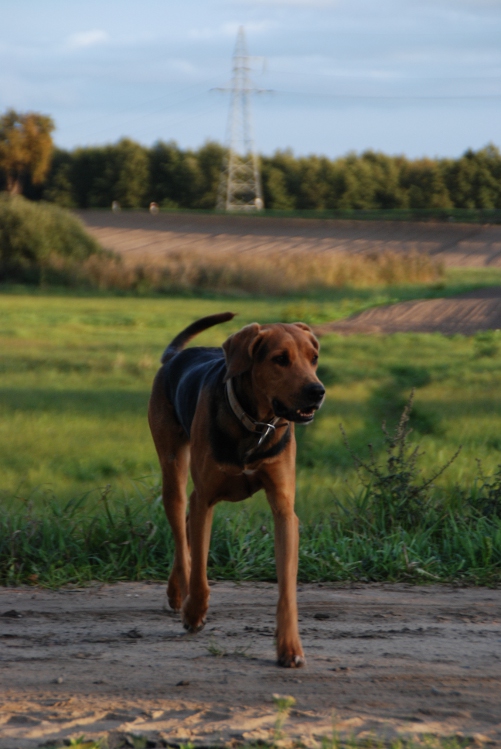 DSC_0052.JPG