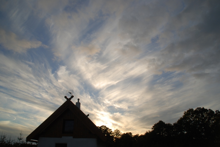 DSC_0056.JPG
