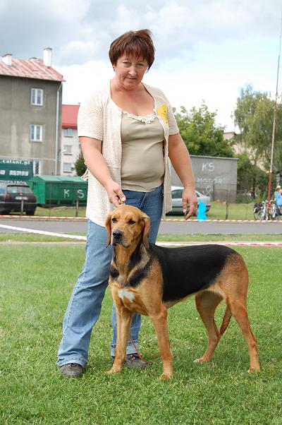 DIUNA z Lianówki