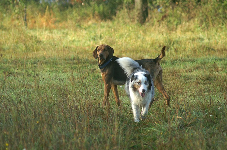 PICT0137o.jpg