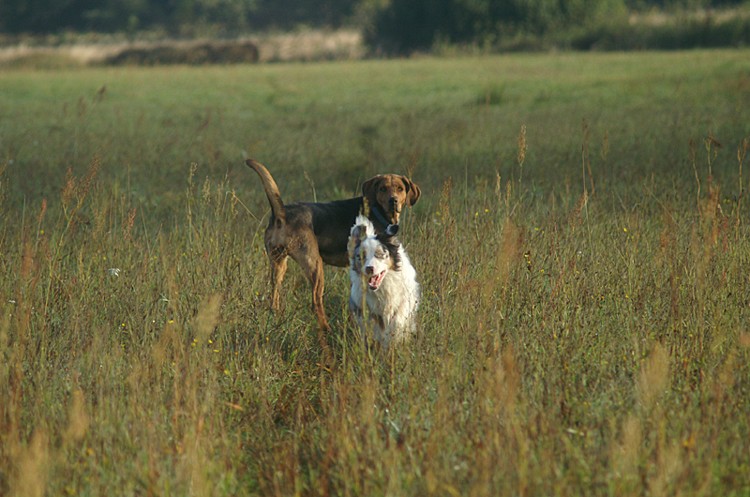 PICT0092o.jpg