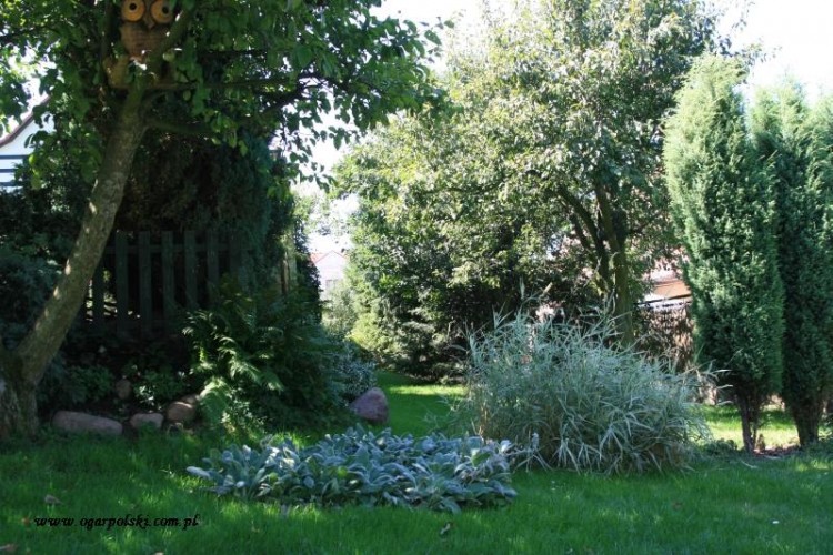 Ogród.