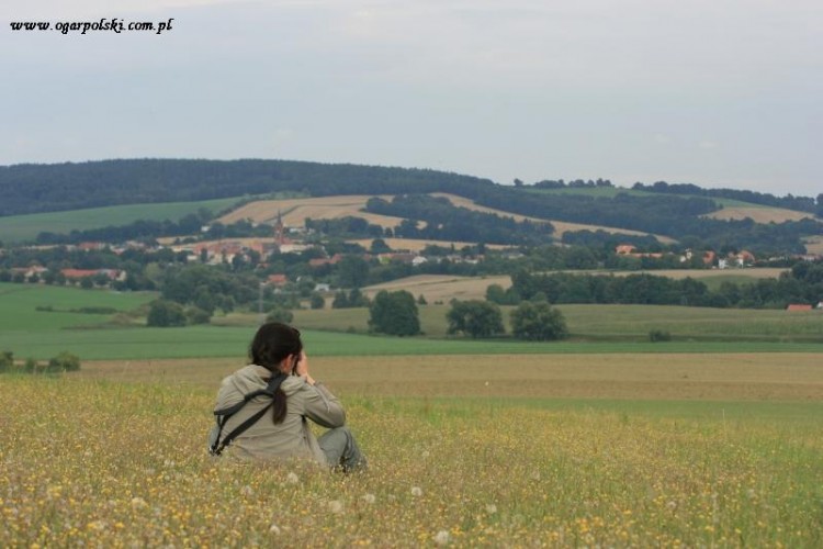 A jego Pani fociła i się zachwycała.