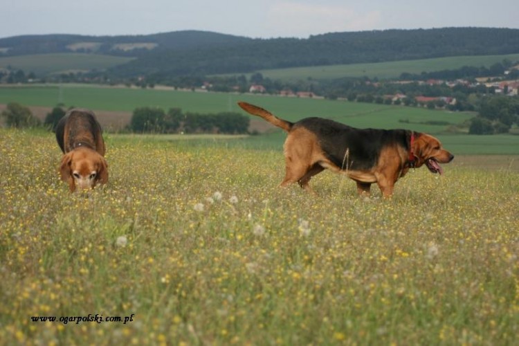 sierpień i zlot 058.jpg